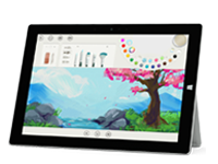 西湖Surface 无法开启、Windows 无法启动或电池无法充电
