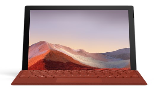 西湖清洁和维护 Surface
